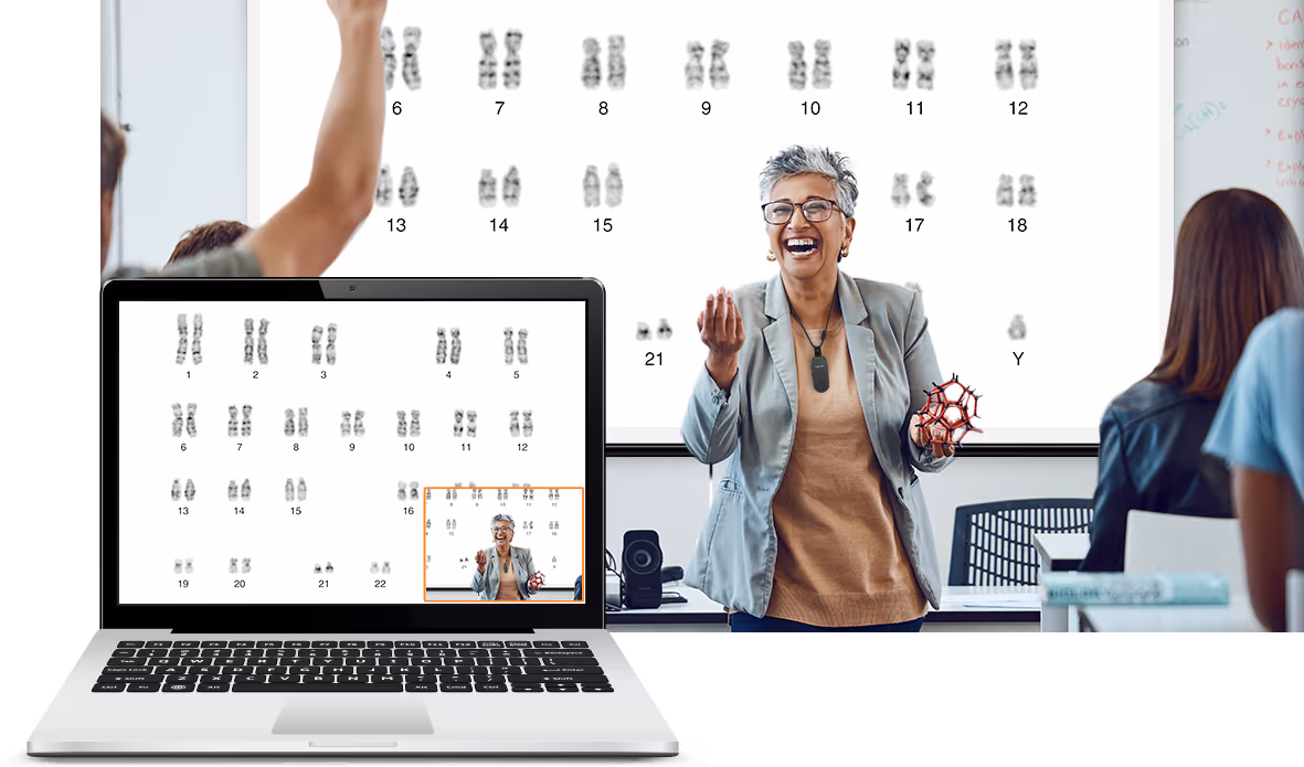 Picture-in-Picture Possibilities