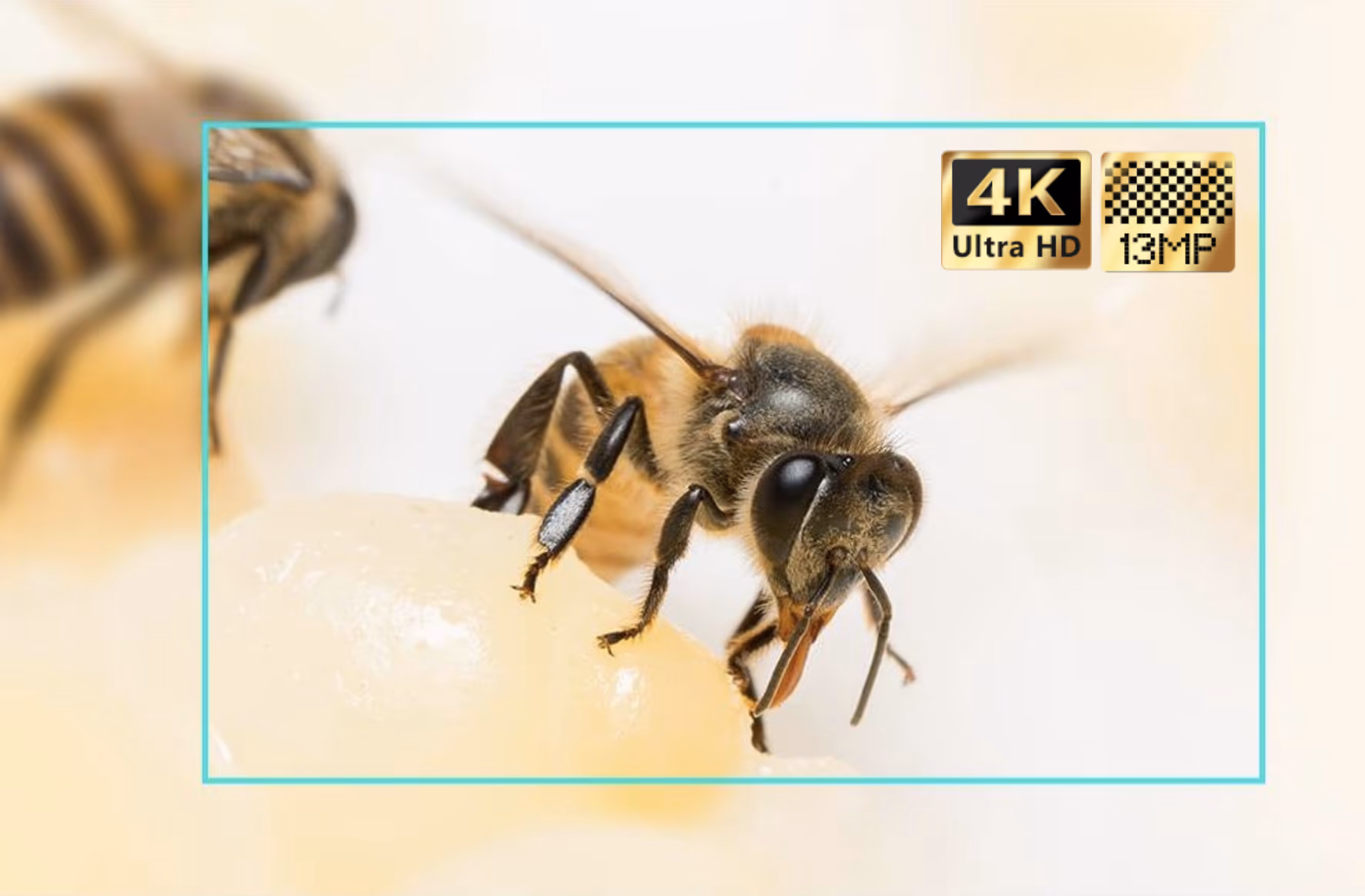 True 4K Output Resolution